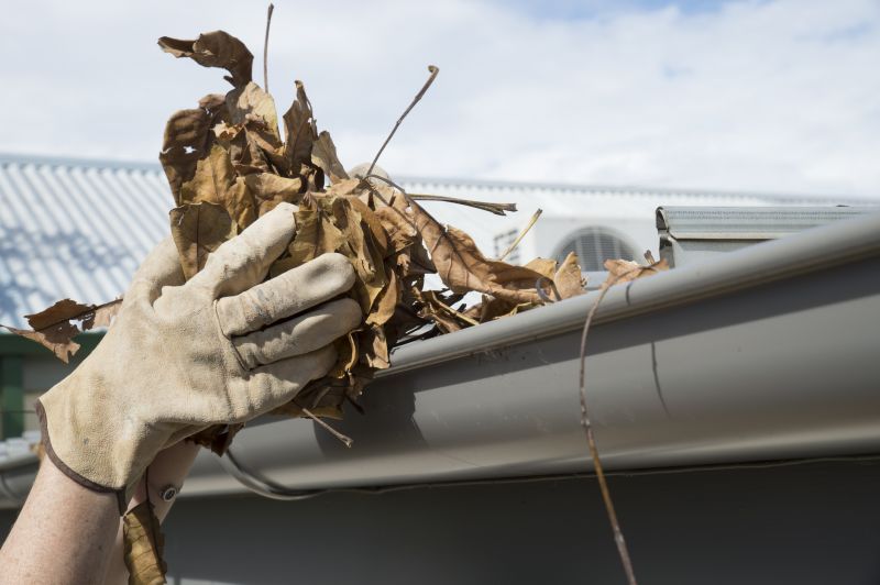 Removing Leaves from Gutters
