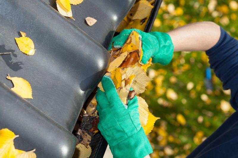 Gutter Inspection in Fall